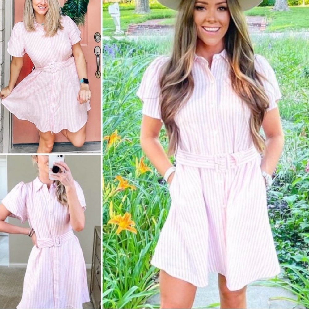 Alexis x Target Pink Striped Buttoned Tie Front Sundress